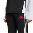 Adidas lfc tr pnty