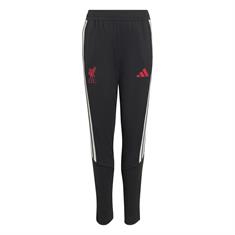 Adidas lfc tr pnty