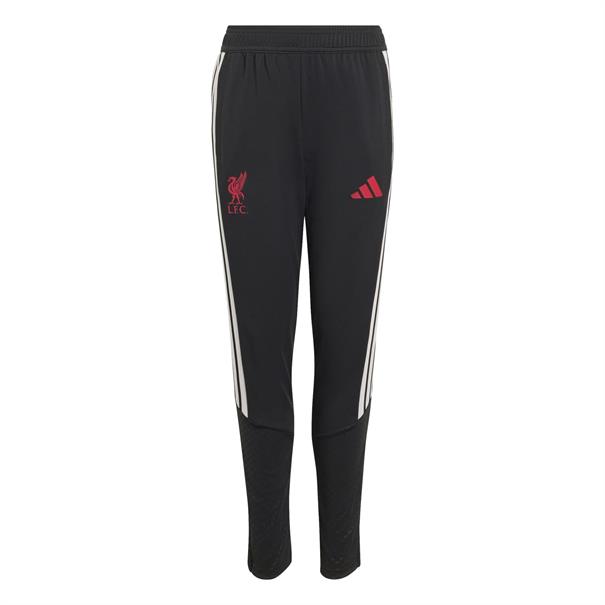 Adidas lfc tr pnty