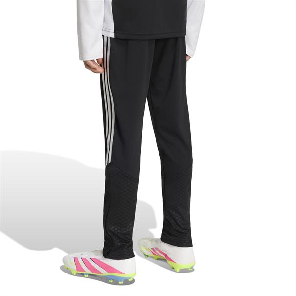 Adidas lfc tr pnty