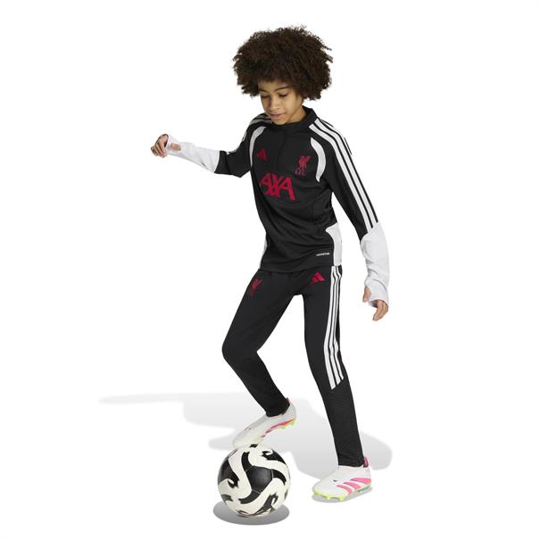 Adidas lfc tr pnty