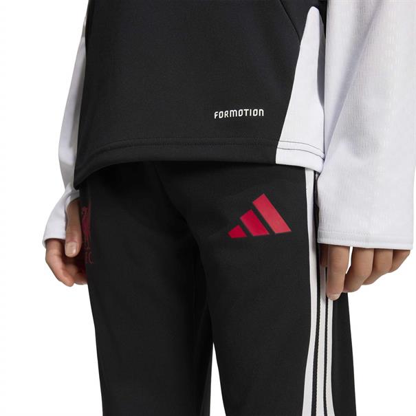 Adidas lfc tr pnty
