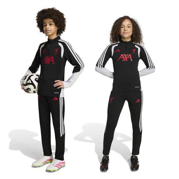 Adidas lfc tr pnty