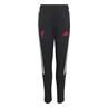 Adidas lfc tr pnty