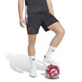 Adidas lfc tr sho