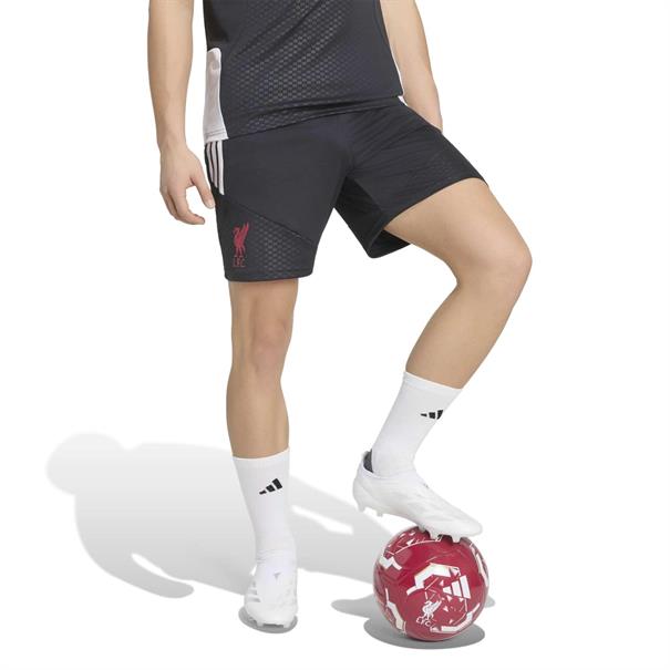 Adidas lfc tr sho