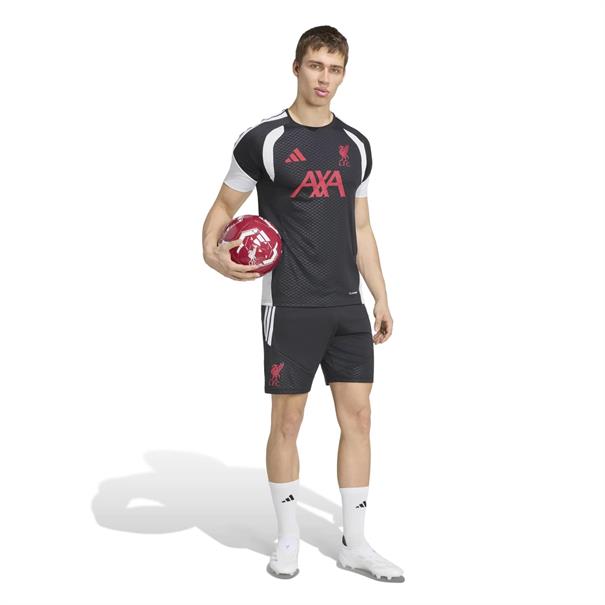 Adidas lfc tr sho