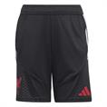 Adidas lfc tr shoy