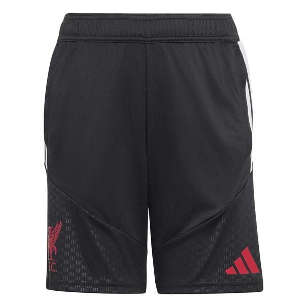 Adidas lfc tr shoy