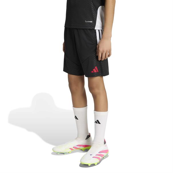 Adidas lfc tr shoy
