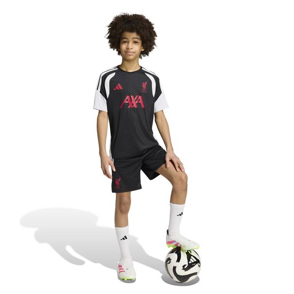 Adidas lfc tr shoy