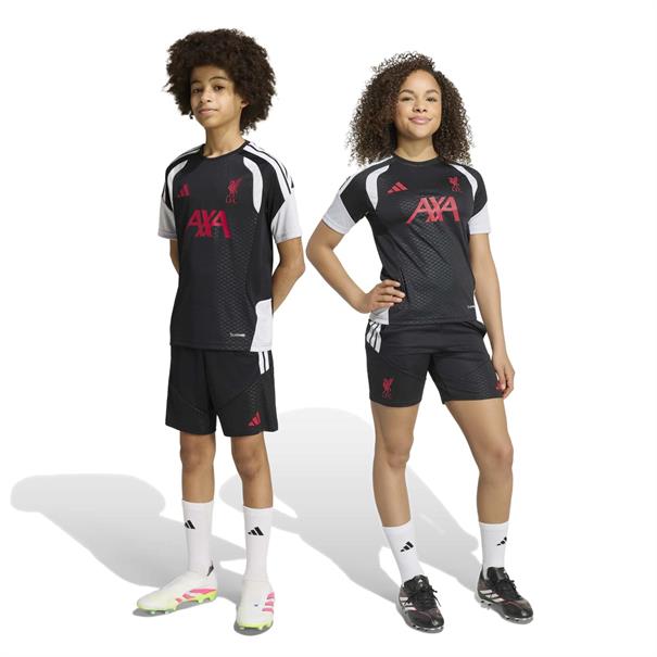 Adidas lfc tr shoy