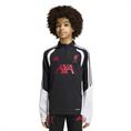 Adidas lfc tr topy