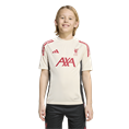 Adidas Liverpool FC Competition Training Shirt Kids