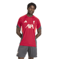 Adidas Liverpool FC Tiro 25 Competition Training Shirt