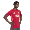 Adidas Liverpool FC Tiro 25 Competition Training Shirt