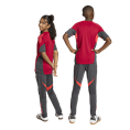 Adidas Liverpool FC Tiro25 Competition Train Broek Kids