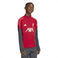 Adidas Liverpool FC Tiro25 Competition Training Trui Kids
