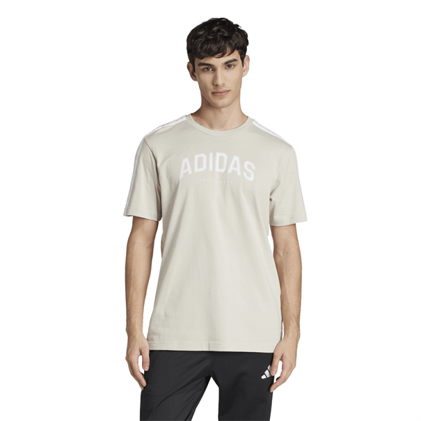 Adidas m c colleg tee