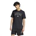 Adidas m collegiate t