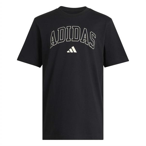 Adidas m collegiate t