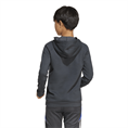 Adidas Messi Hoodie Kids