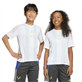 Adidas messi tr jsy y