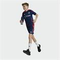 Adidas mufc tr jsy y
