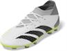 Adidas predator accuracy.3 fg j