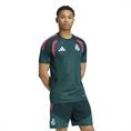 Adidas real tr jsy