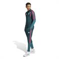 Adidas real tr pnt
