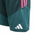 Adidas real tr shoy