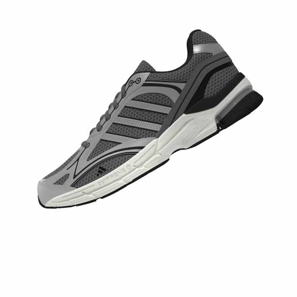 Adidas spiritain 2000