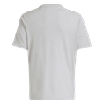 Adidas tabela 23 jsy y