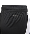 Adidas Tiro 24 Training Short Kids
