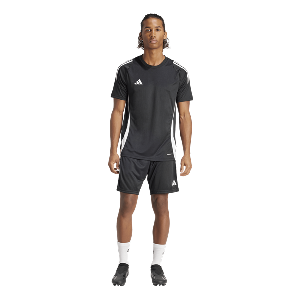 Adidas Tiro 24 Training Short