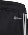 Adidas tiro23 cbtrpnty