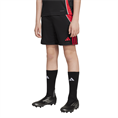 Adidas tiro24 trshoy