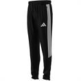 Adidas tiro26l pntr