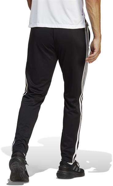 Adidas tr-es base 3pt
