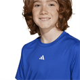 Adidas Train Essentials Logo Regular Fit T-shirt Kids