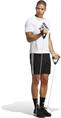 Adidas Train Essentials Piqué 3-Stripes Trainingsshort