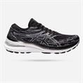 Asics gel-kayano 29