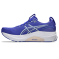 Asics gel-kayano 32