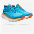 Asics gel-nimbus 25