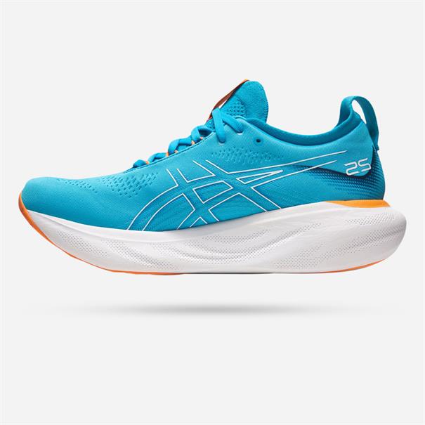 Asics gel-nimbus 25