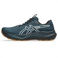 Asics gt-2000 14 tr