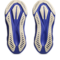 Asics Novablast 5 Hardloopschoenen Heren zwart