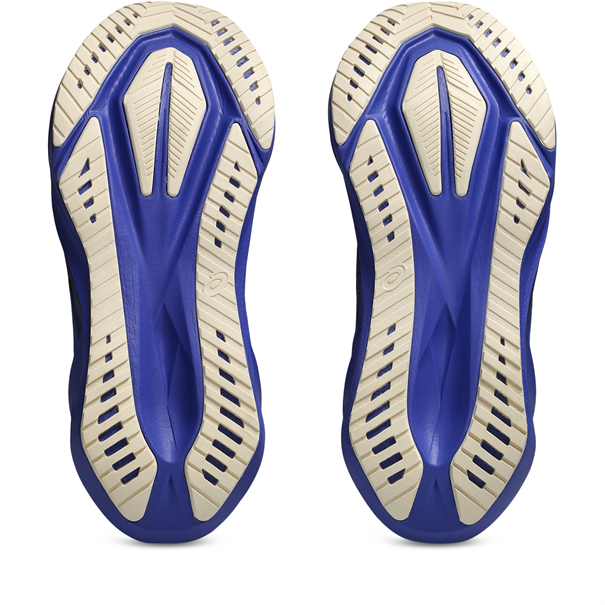 Asics Novablast 5 Hardloopschoenen Heren zwart