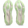 Asics novablast 6